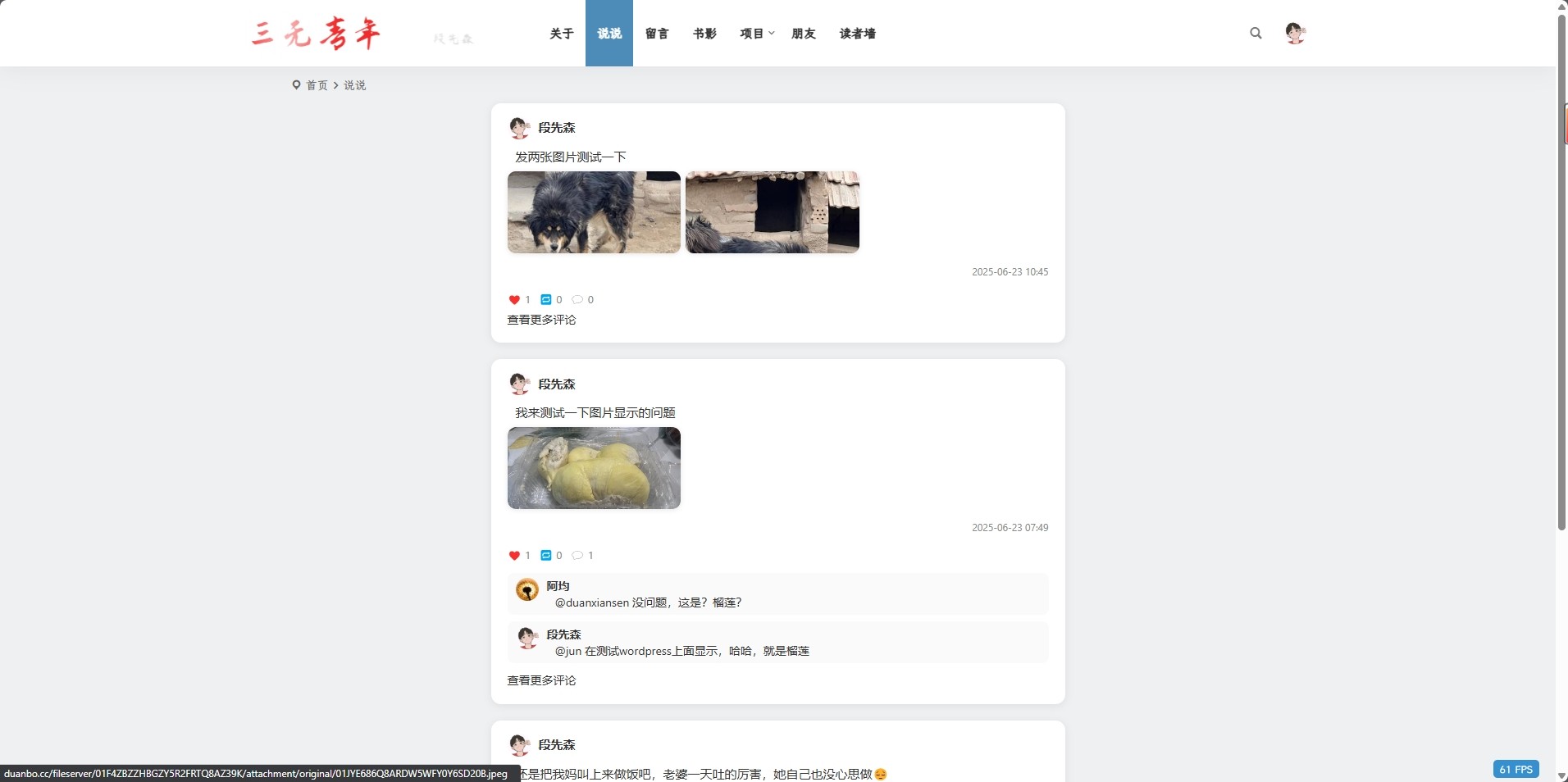 WordPress 展示 GoToSocial 的说说内容（朋友圈风格插件 + Access Token 获取教程）